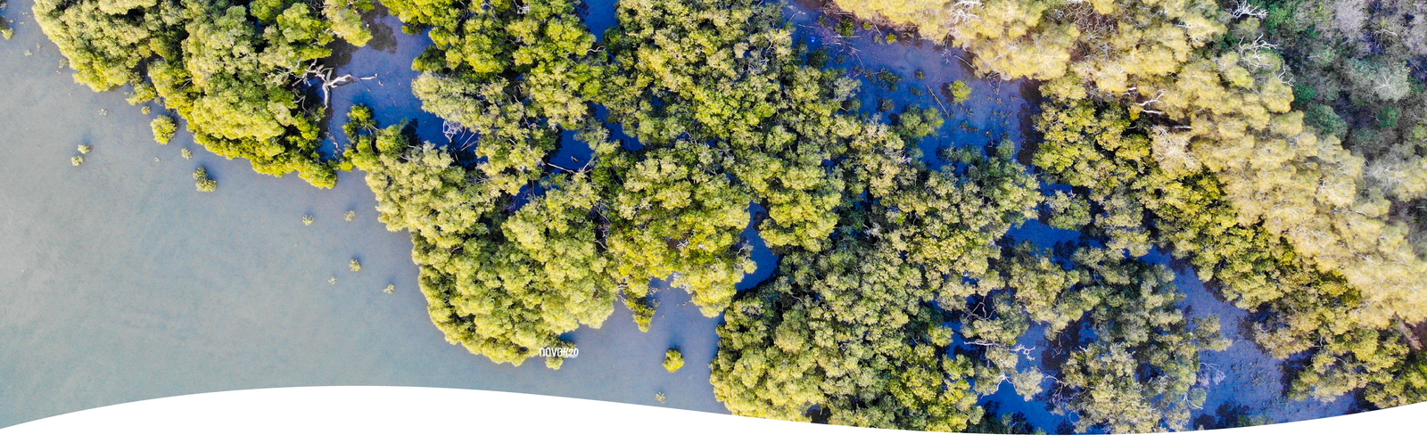 Spring Water Pallets For Construction Sites